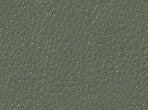 color Musgo